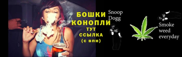 первитин Лабытнанги